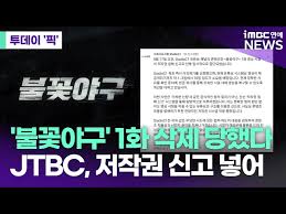 불꽃야구 시청