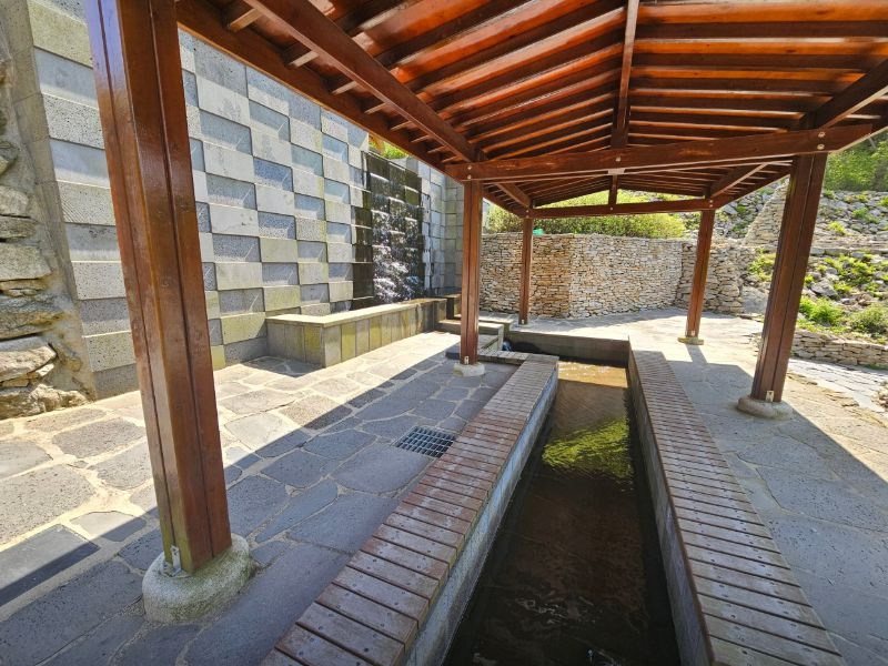 석모도 수목원 