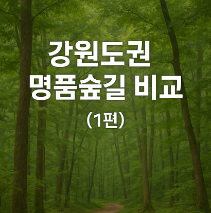 [명품숲길 50선] 강원도권 숲길 비교(1편) : 대관령 소나무숲길부터 김삿갓문학길까지