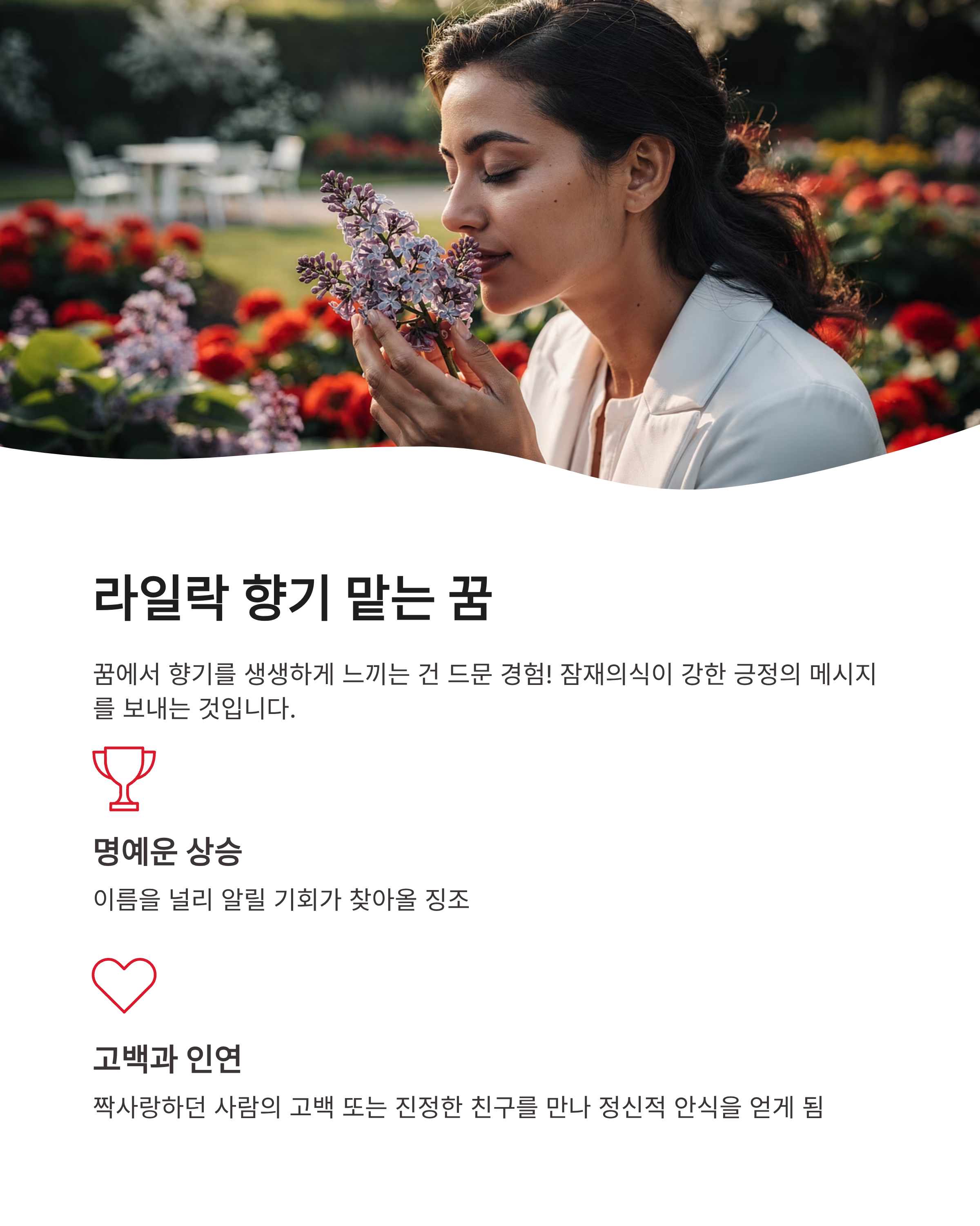 라일락 꽃 꿈 해몽 태몽 보라색 흰색 꿈 풀이 향기로운 행운의 상징 정리