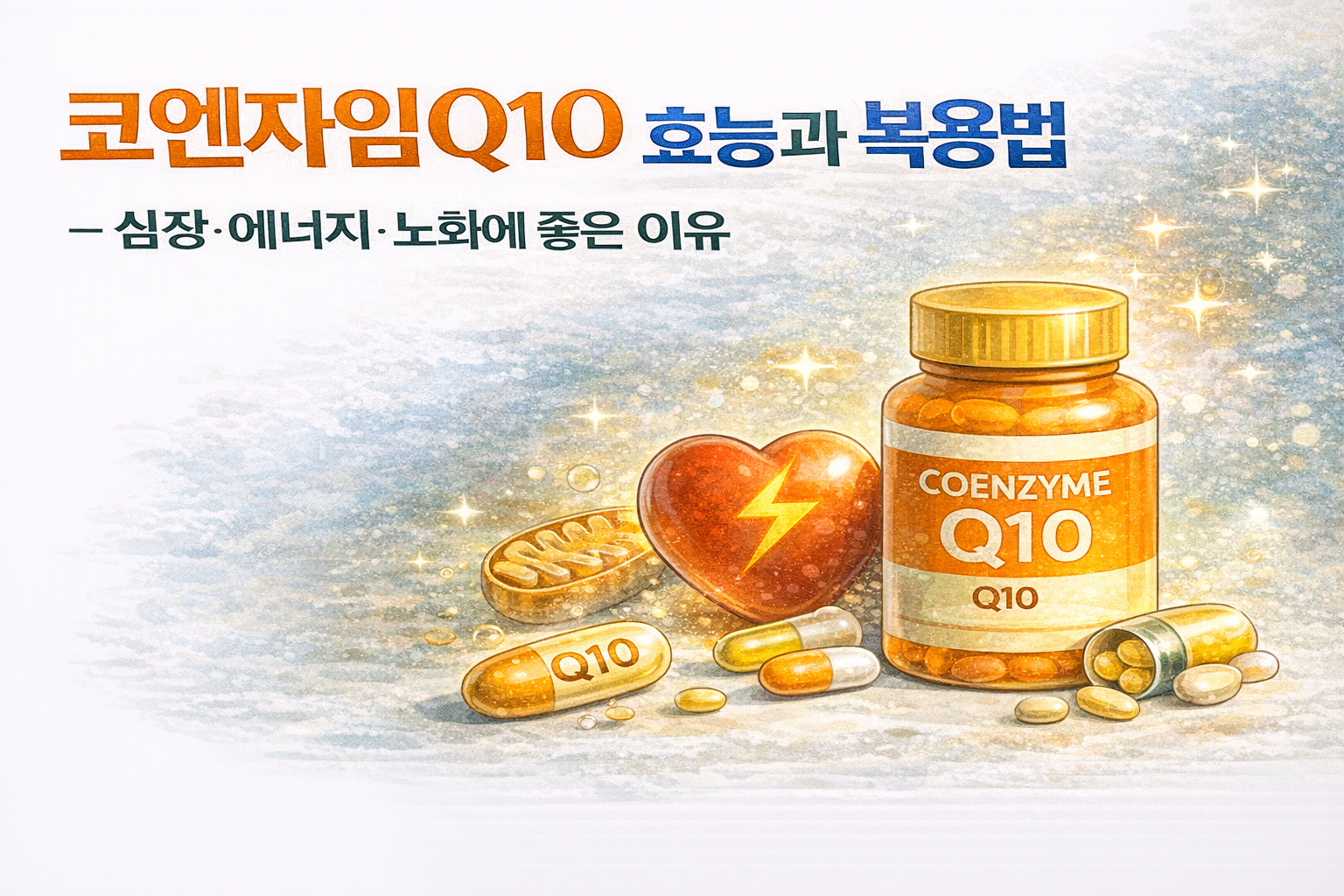 코엔자임Q10 효능과 복용법: 심장&middot;에너지&middot;노화에 좋은 이유