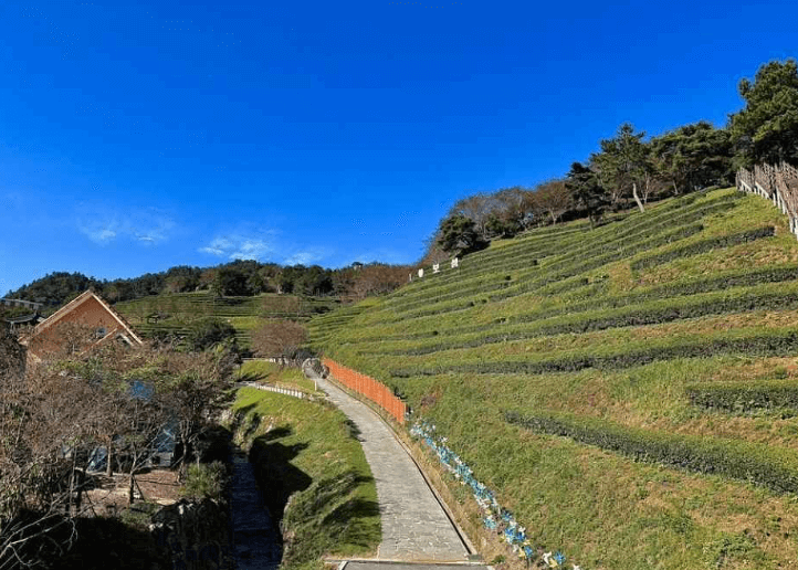 보성 가볼만한 곳 베스트10