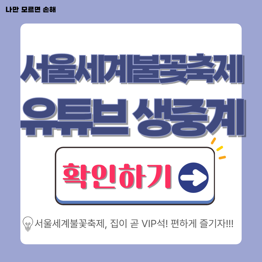 2025 서울세계불꽃축제 유튜브 생중계│집에서 편하게 즐기는 최고의 방법