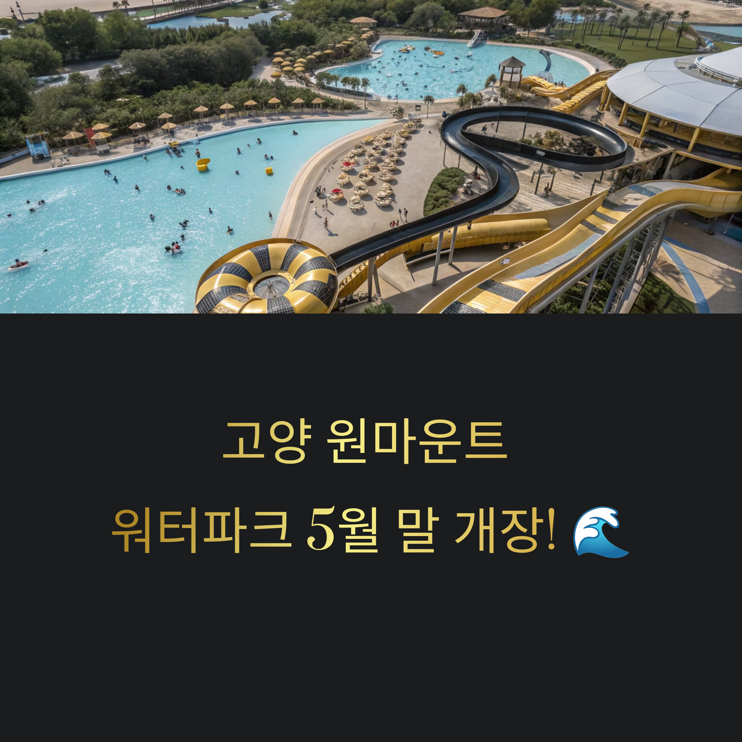 고양 원마운트 워터파크, 5월 말 개장! 여름이 기다려지는 이유
