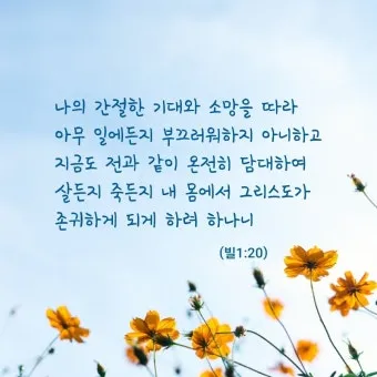 빌립보서 1장 6절 묵상 - 너희 안에서 착한 일을 시작하신 이가 그리스도 예수의 날까지 이루실 줄을 우리는 확신하노라_17