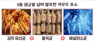 카무트-효소-먹는법