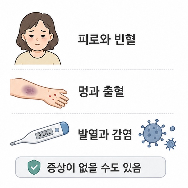 빈혈로 인한 피로와 창백함, 쉽게 드는 멍과 출혈, 원인 모를 발열과 감염을 정리한 그림
