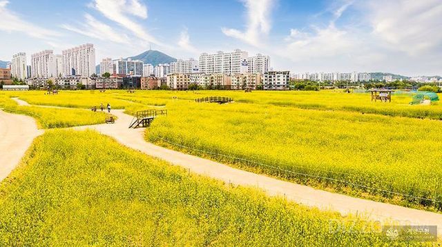 인천의 봄꽃 명소 추천