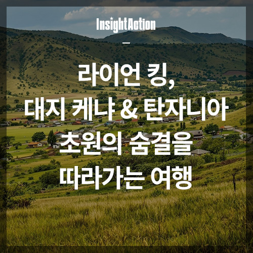 라이언킹 썸네일