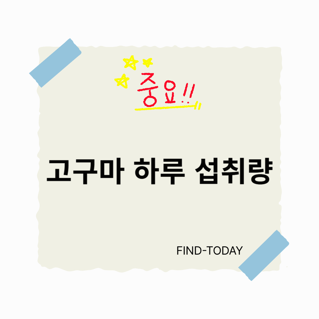 고구마 하루 섭취량 (생고구마,찐고구마,군고구마)