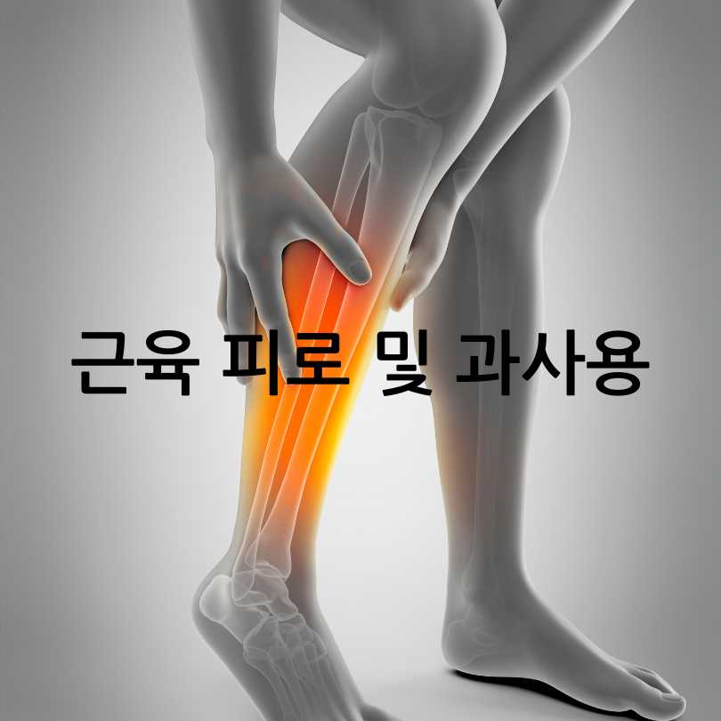 종아리 쥐나는 이유와 해결 방법