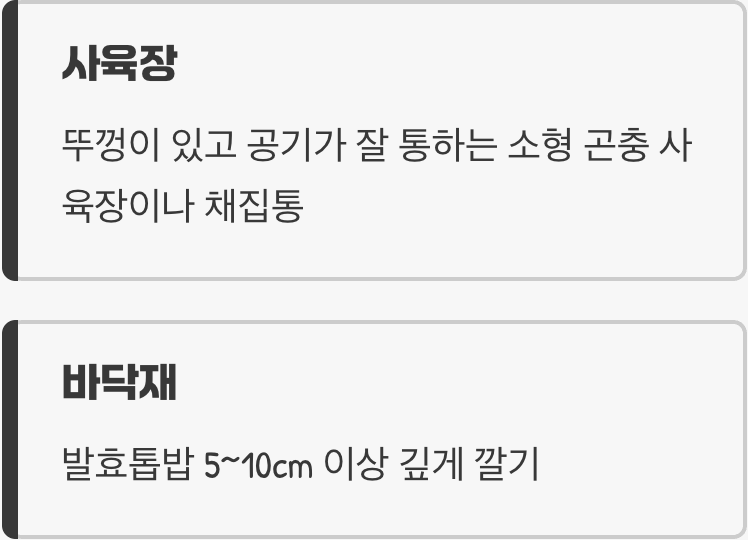 아늑한 숲속 집 꾸미기, '사육장 세팅'