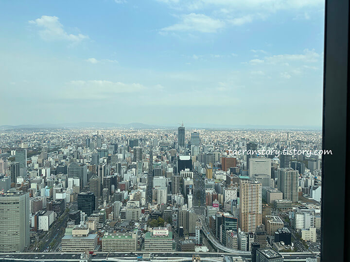 나고야-전망대