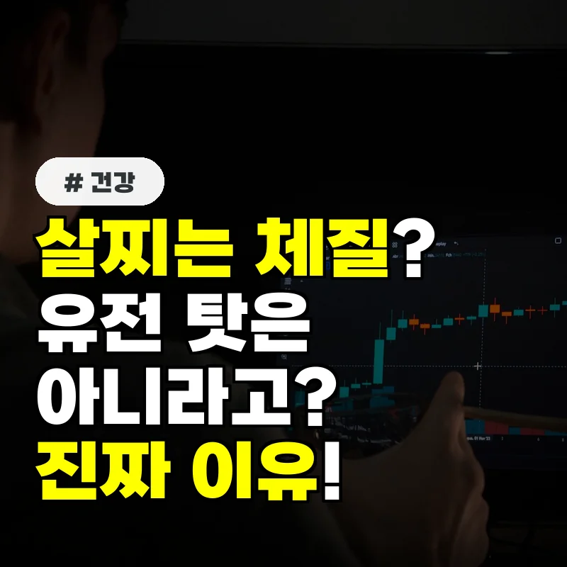 살찌는 체질은 유전이다 의외로 '이 습관'이 체지방 늘리는 진짜 이유