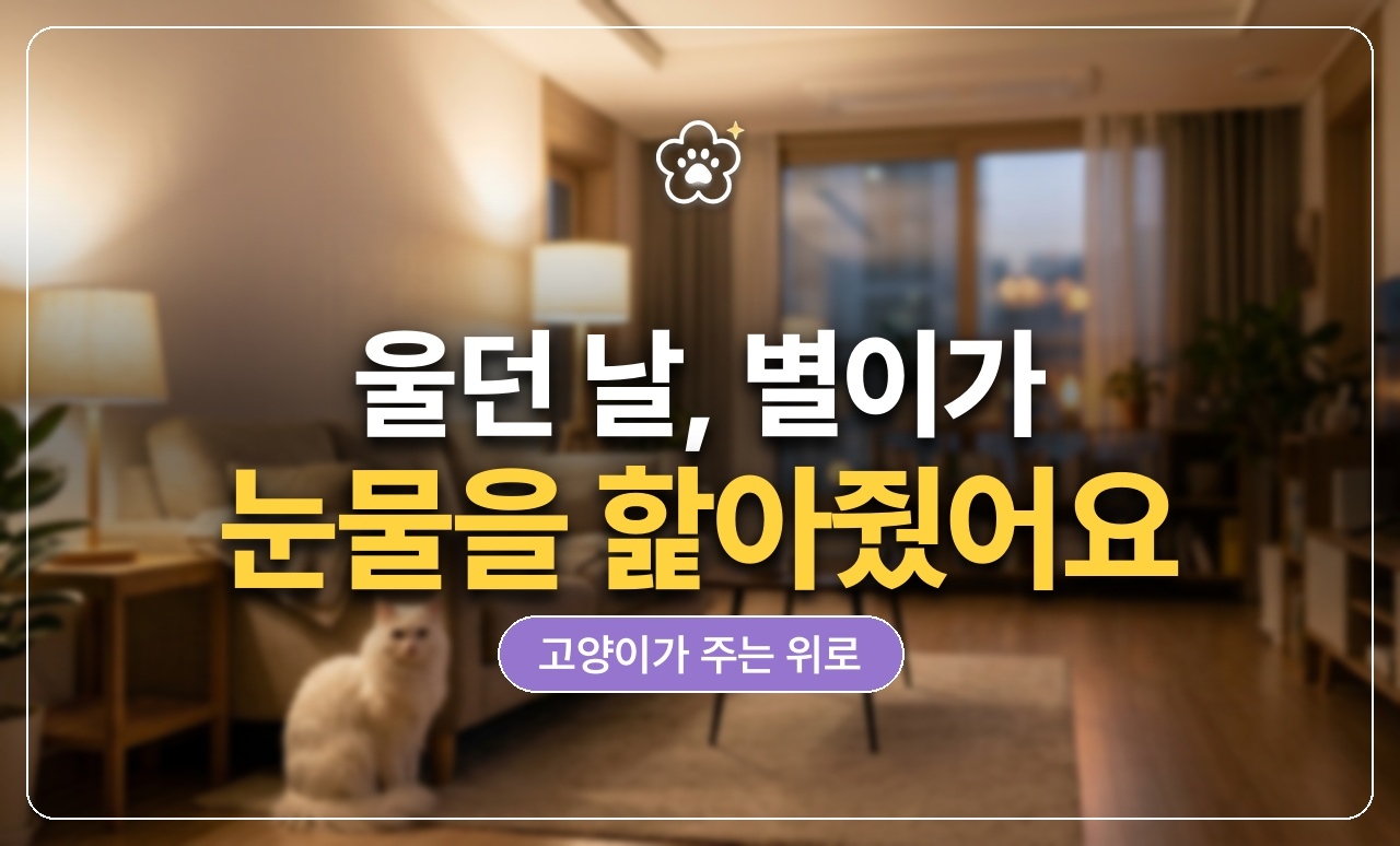 울던 날 별이가 주는 위로