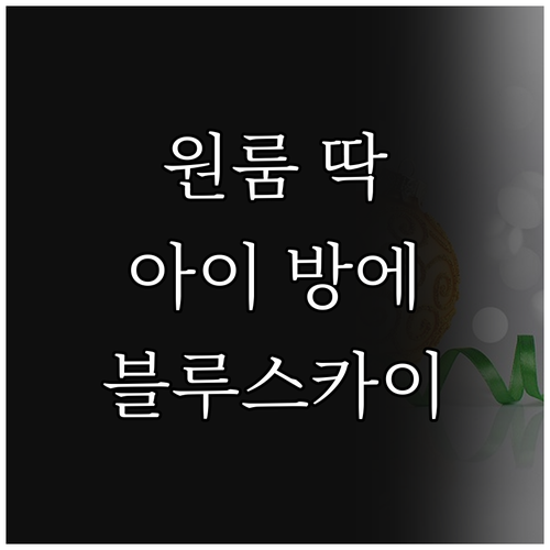 원룸, 아이 방에 딱! 삼성 블루스카..
