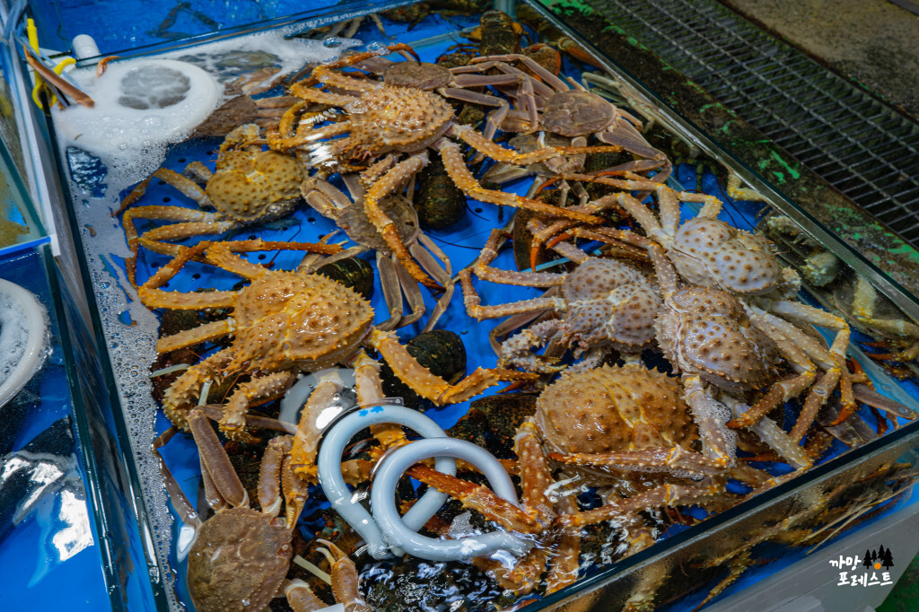 궁평항 수산물 시장