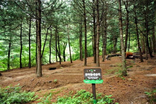 소나무 숲, 유아동네숲터,