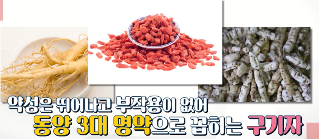 구기자