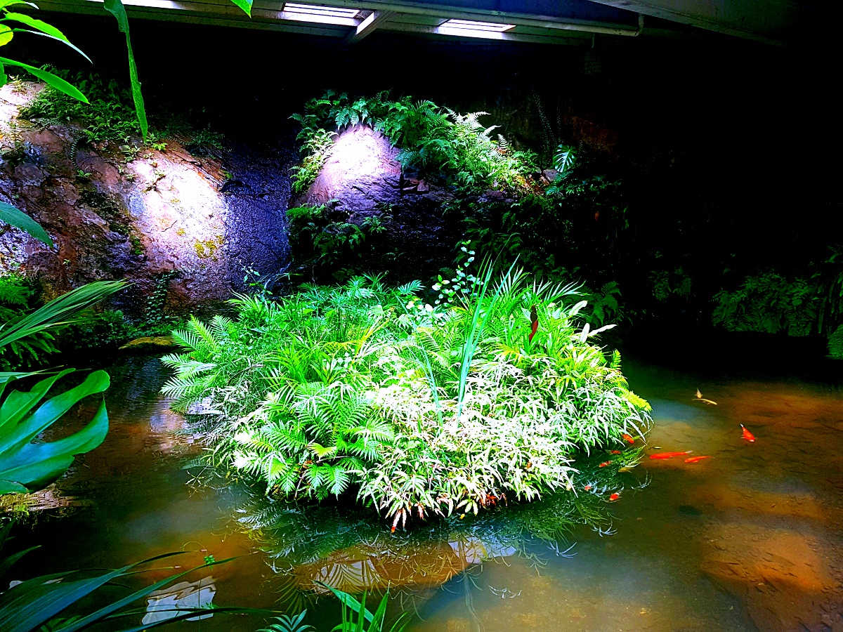 양주 오랑주리 카페: 자연 그대로 실내에 담은 대형 식물원 카페