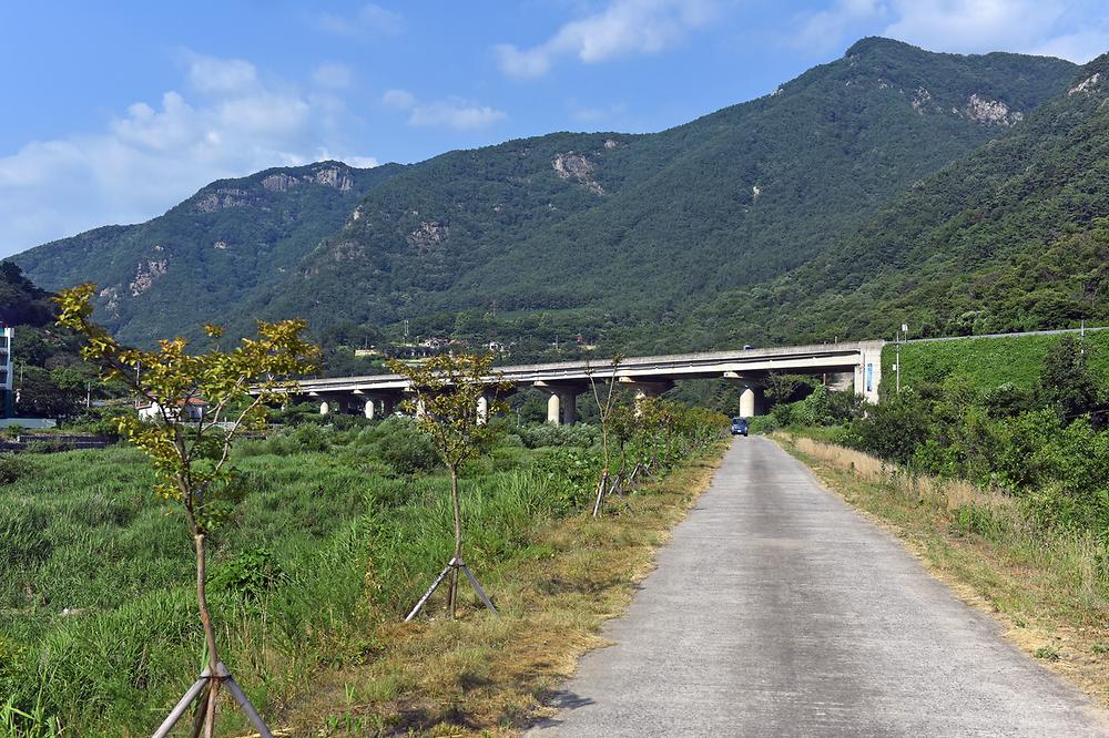 밀양시 미르오토캠핑장 소개