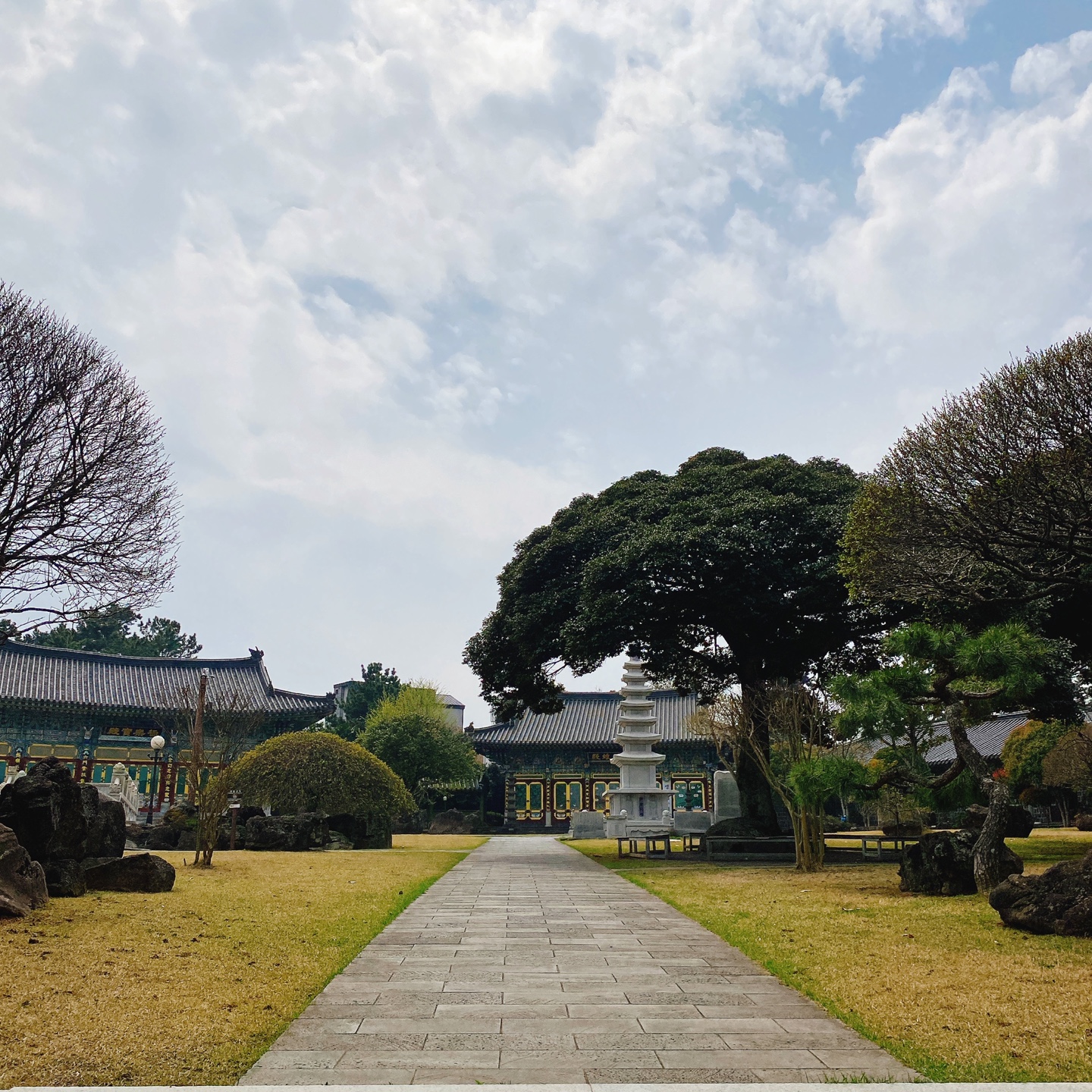 제주 정실마을 월정사 브런치 맛집 블리스찬 카페