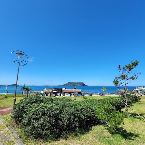 제주 성산 해산물 죽 '섭지해녀의집'