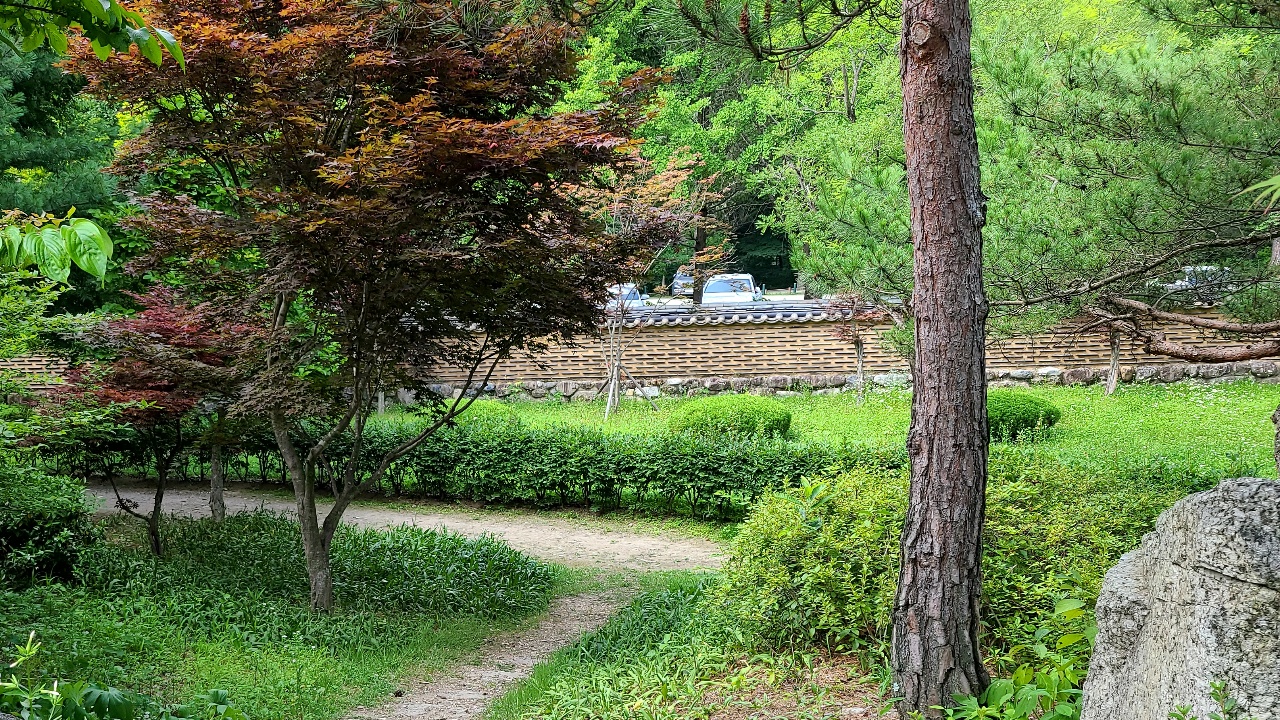 청도운문사