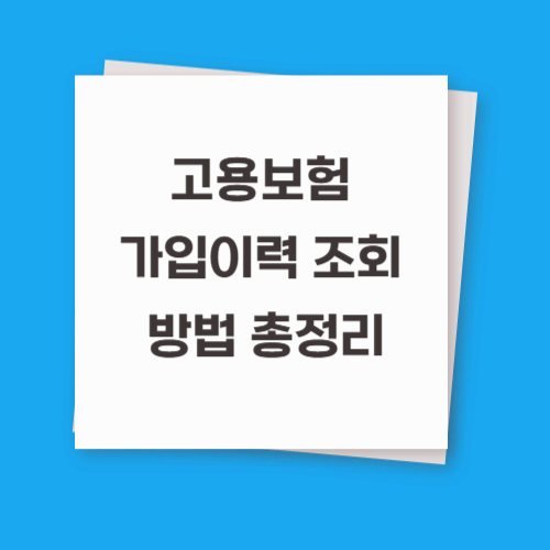 고용보험 가입이력 조회 완벽 가이드 (2025 최신)