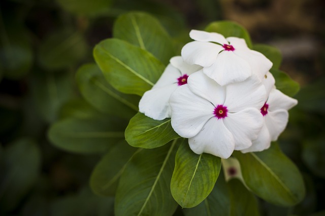 경락잔금 대출 12