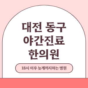 대전 동구 야간진료 한의원 병원 (18시 이후 늦게까지하는 병원)