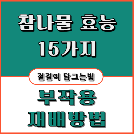 참나물-효능-15가지-부작용-재배방법