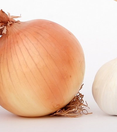 양파 효능 사진29