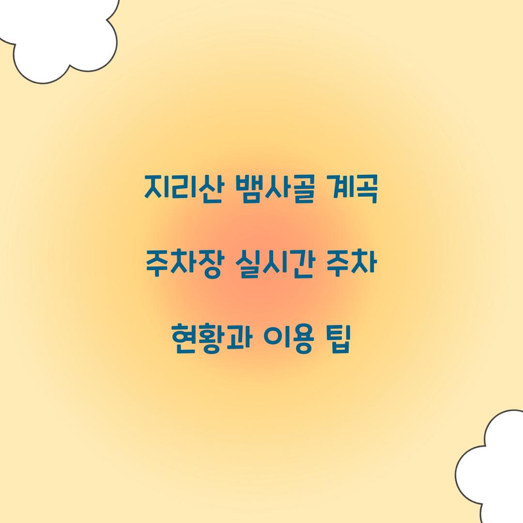 지리산 뱀사골 계곡 주차장