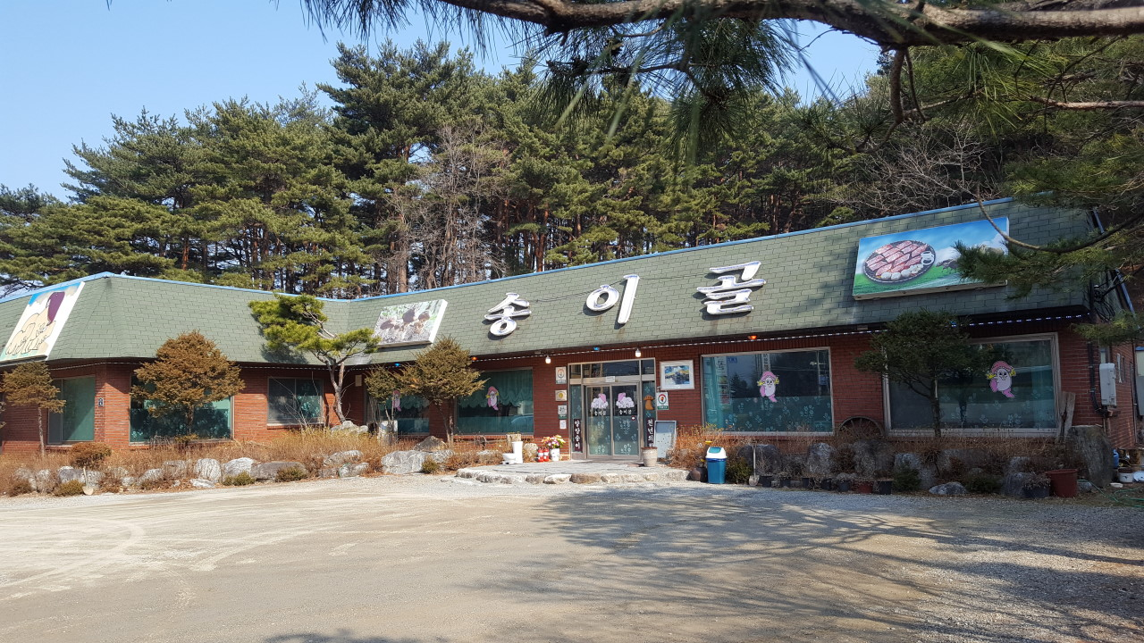 생생정보 윤수현 식당 카페