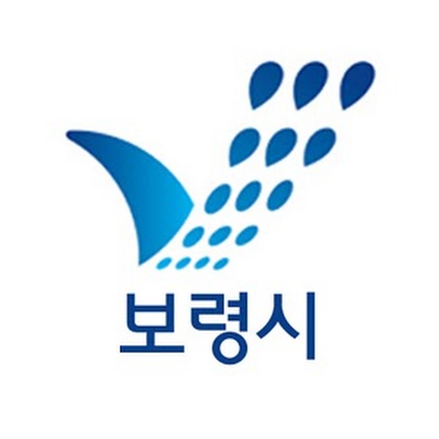 보령시청 홈페이지