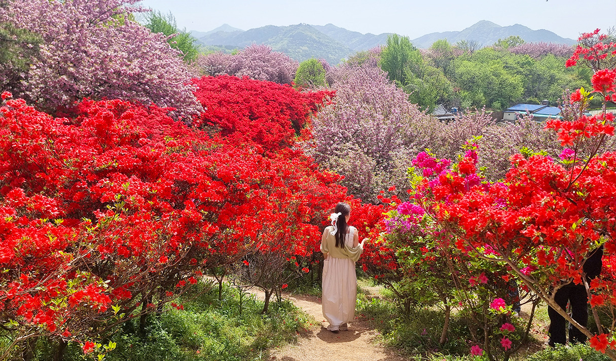 전주 완산칠봉 꽃동산 / 사진출처=전주시