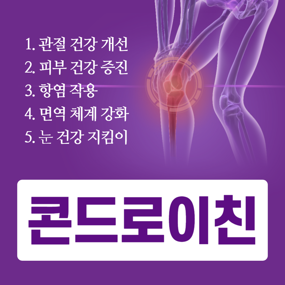 콘드로이친