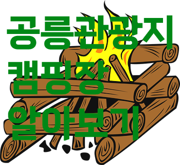 캠핑장 추천
