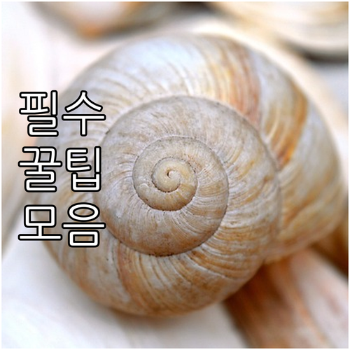 엔진 오일 교환 주기와 선택 꿀팁 총