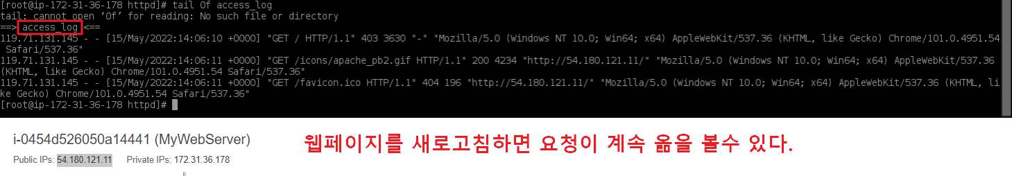 CloudFront 실전 구축