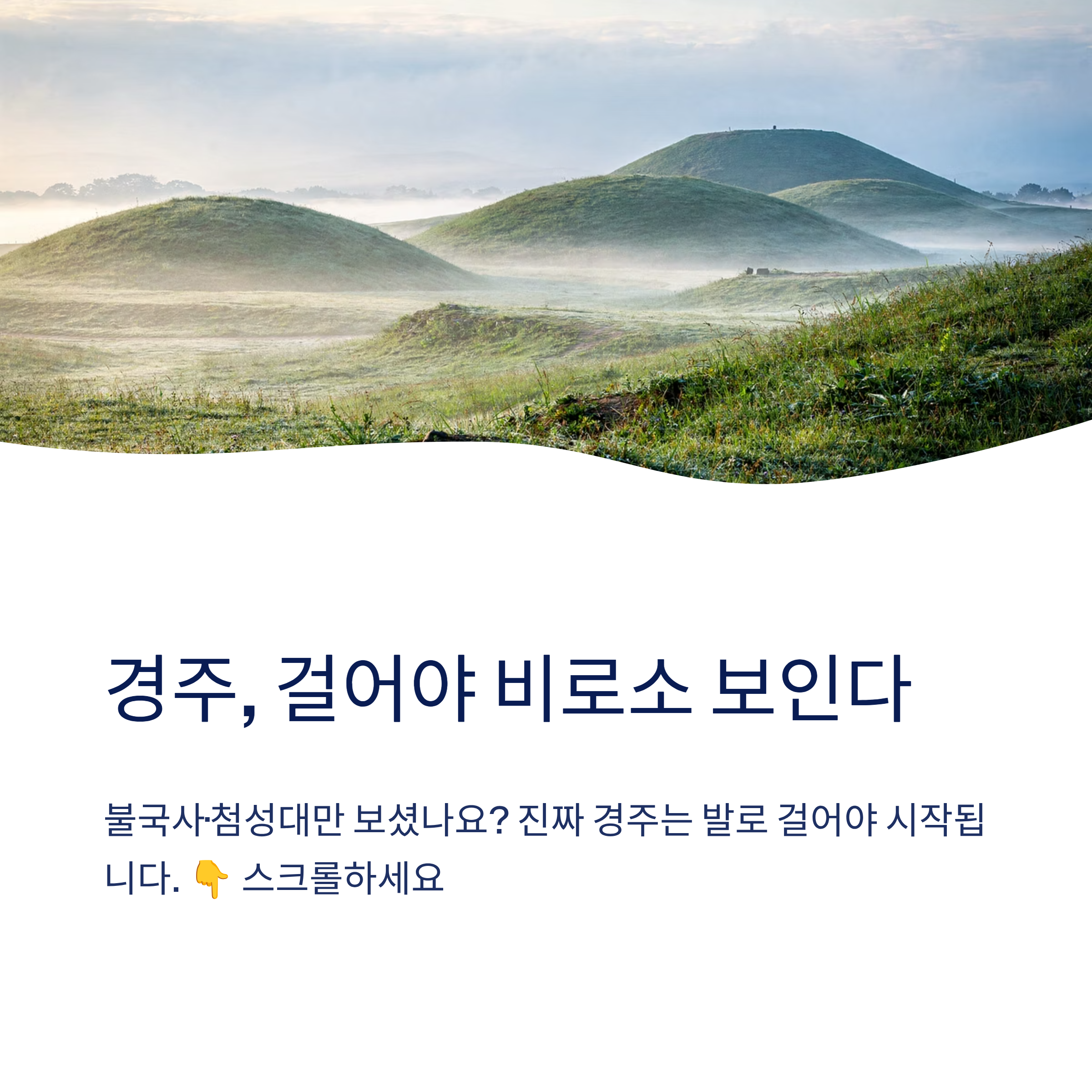 경주 근교 산책 달리기 트레킹 코스 추천 ❘ 천년 고도를 두 발로 걷는 법