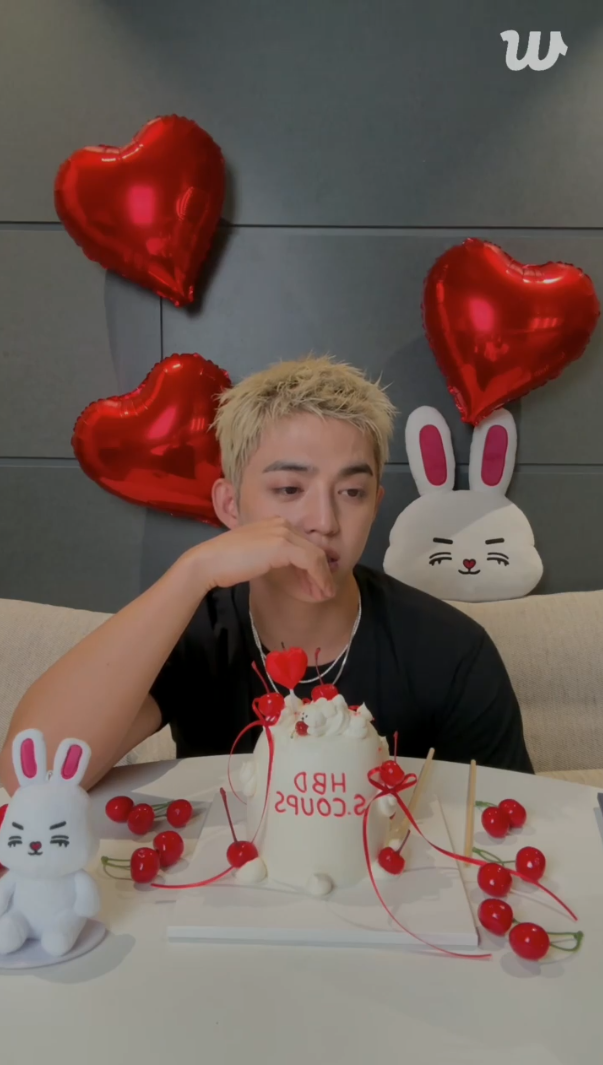 에스쿱스 생일 라이브