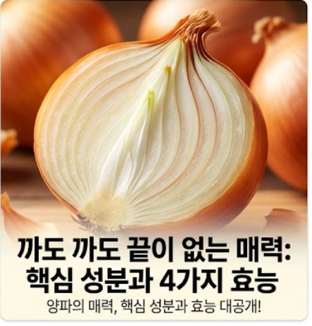 양파 보관법