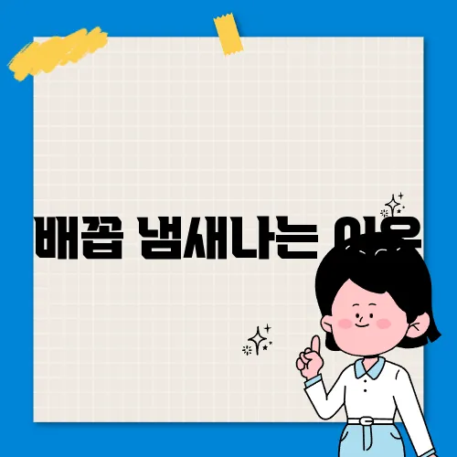 배꼽 냄새나는 이유