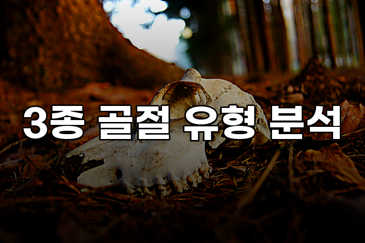 3종 골절 유형 분석