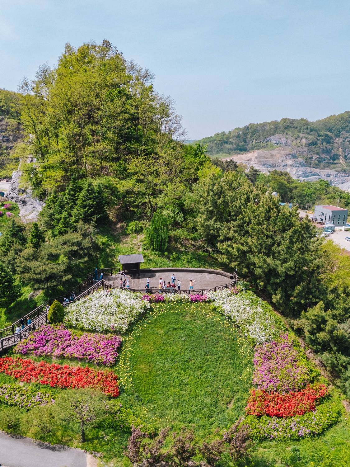 충남 아산의 봄, 튤립과 수선화가 가득 2025 피나클랜드 봄꽃대향연
