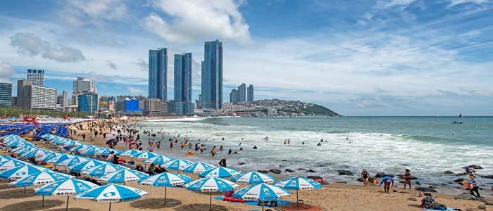 부산광역시 해수욕장 바로가기