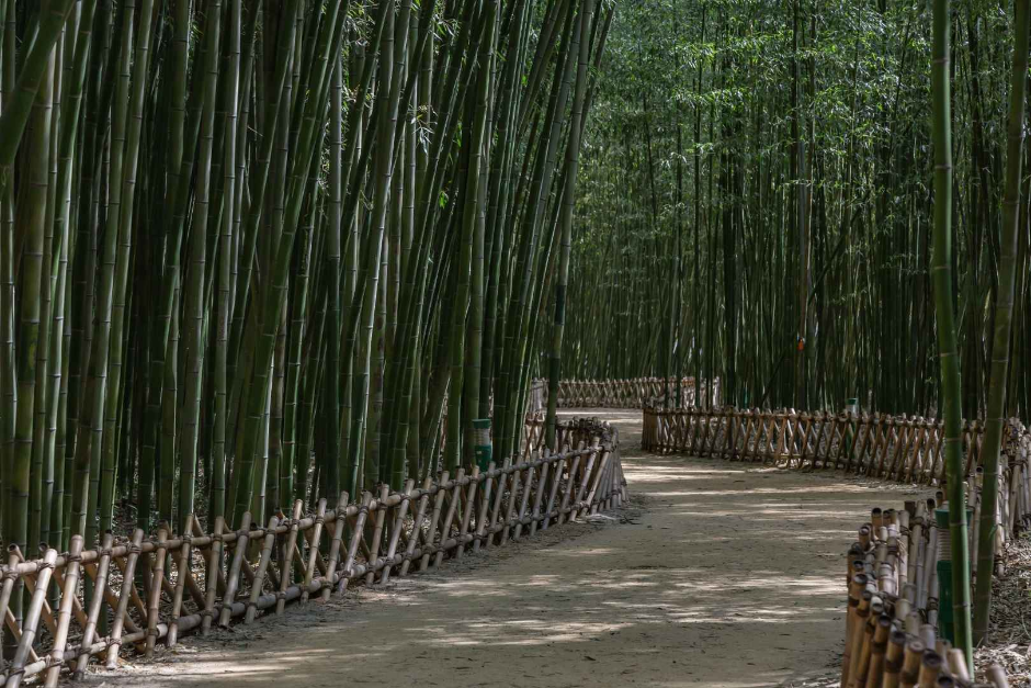 울산 가볼만한곳 베스트10