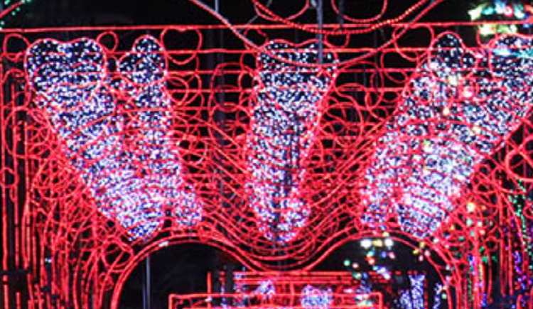 화천 산천어축제